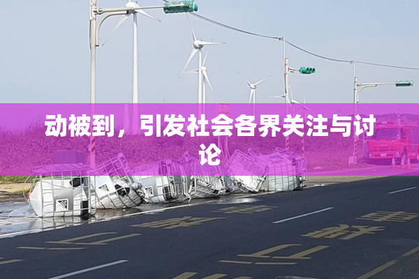 动被到，引发社会各界关注与讨论