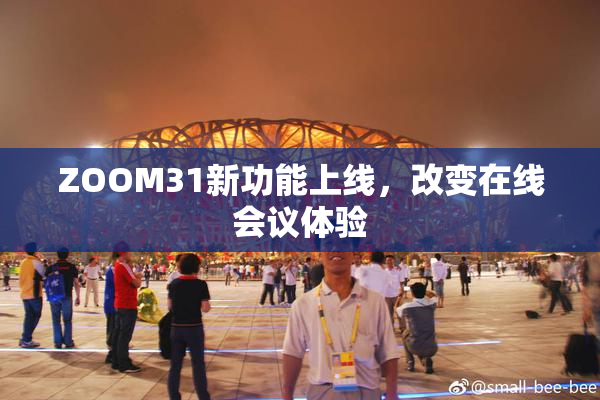 ZOOM31新功能上线，改变在线会议体验