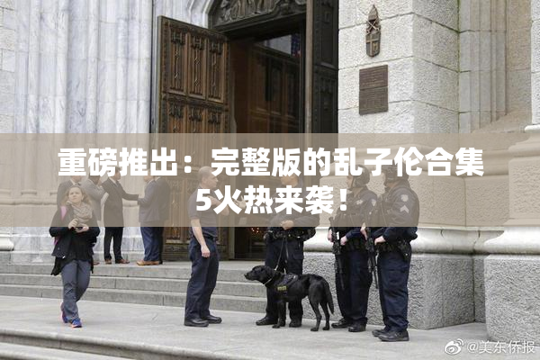 重磅推出：完整版的乱子伦合集5火热来袭！