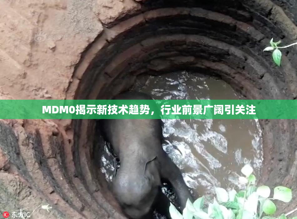 MDM0揭示新技术趋势，行业前景广阔引关注