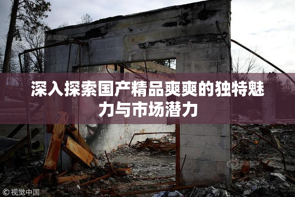 深入探索国产精品爽爽的独特魅力与市场潜力