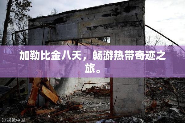 加勒比金八天，畅游热带奇迹之旅。