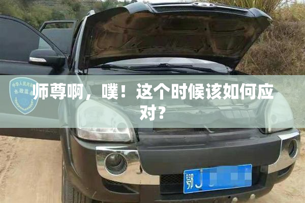 师尊啊，噗！这个时候该如何应对？