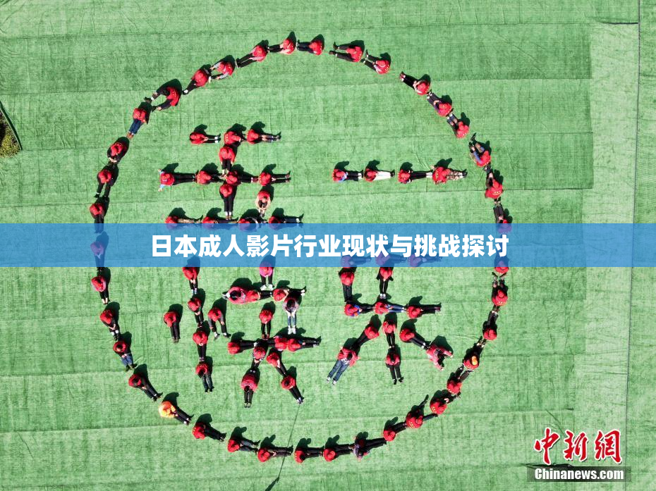 日本成人影片行业现状与挑战探讨