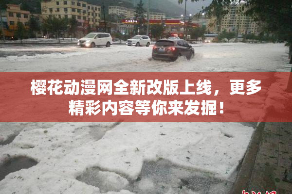 樱花动漫网全新改版上线，更多精彩内容等你来发掘！