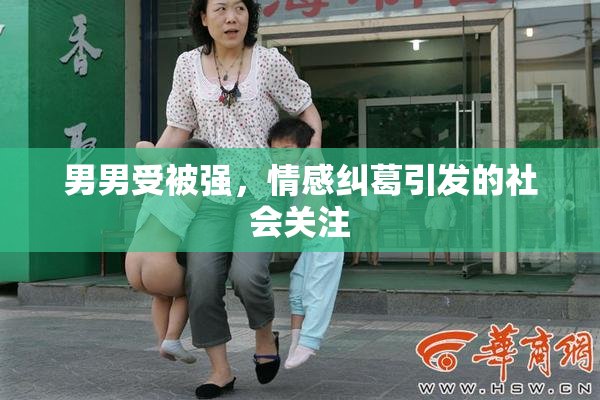 男男受被强，情感纠葛引发的社会关注