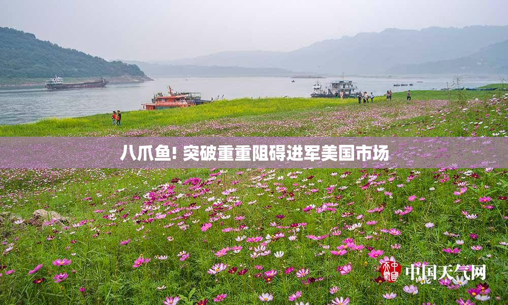 八爪鱼! 突破重重阻碍进军美国市场
