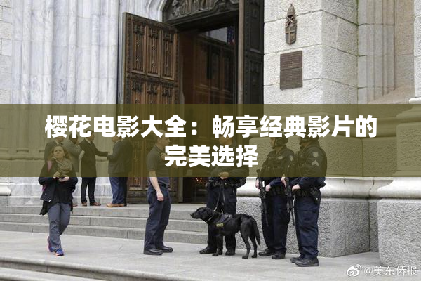樱花电影大全：畅享经典影片的完美选择