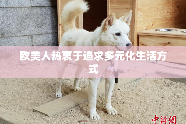 欧美人热衷于追求多元化生活方式