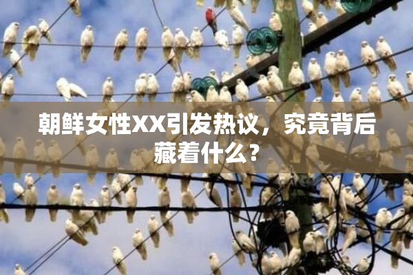 朝鲜女性XX引发热议，究竟背后藏着什么？