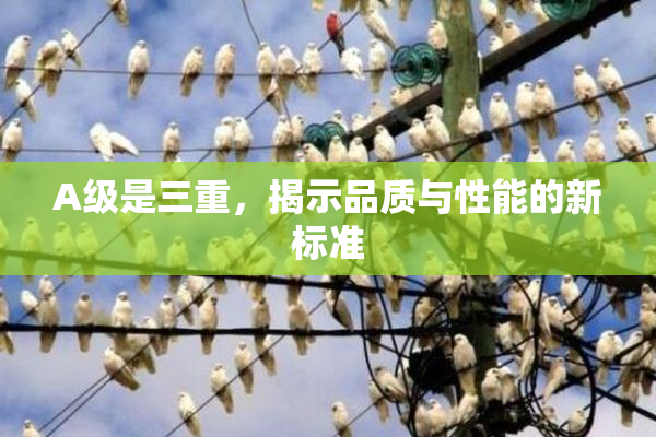 A级是三重，揭示品质与性能的新标准