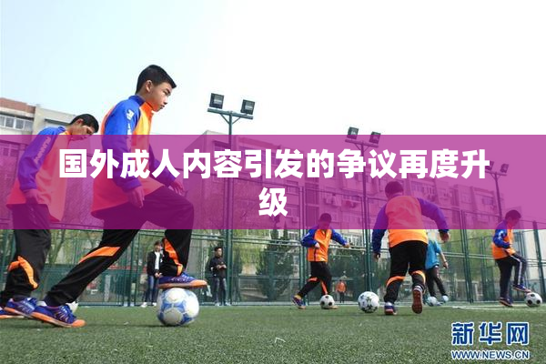 国外成人内容引发的争议再度升级
