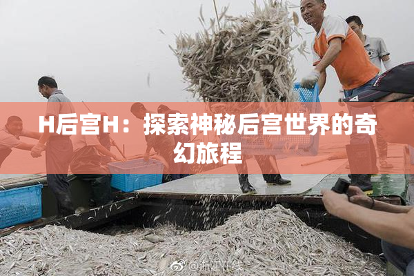 H后宫H：探索神秘后宫世界的奇幻旅程
