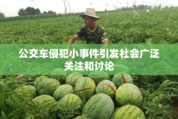 公交车侵犯小事件引发社会广泛关注和讨论