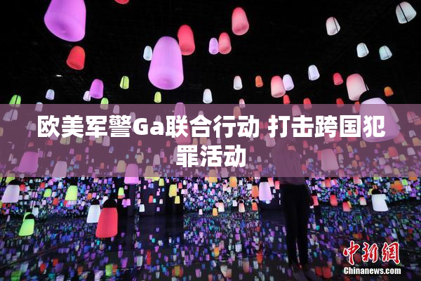欧美军警Ga联合行动 打击跨国犯罪活动