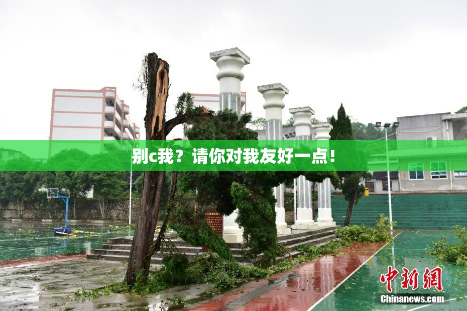 别c我？请你对我友好一点！