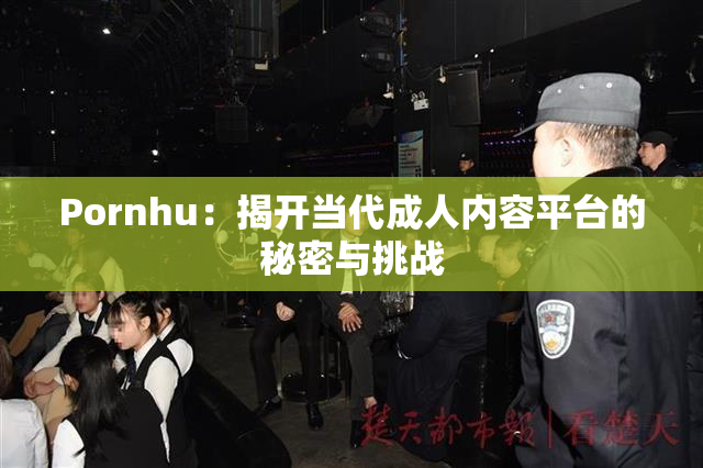 Pornhu：揭开当代成人内容平台的秘密与挑战