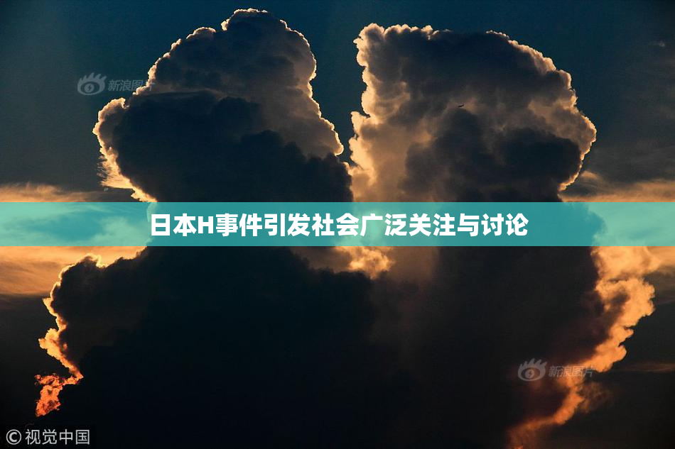 日本H事件引发社会广泛关注与讨论