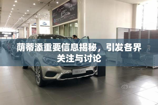 荫蒂添重要信息揭秘，引发各界关注与讨论