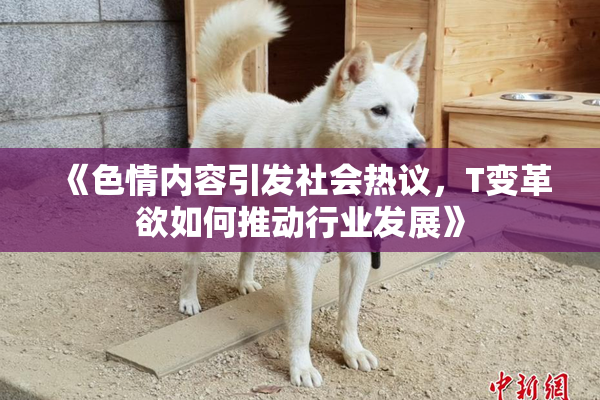 《色情内容引发社会热议，T变革欲如何推动行业发展》