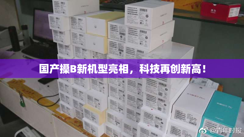 国产搡B新机型亮相，科技再创新高！