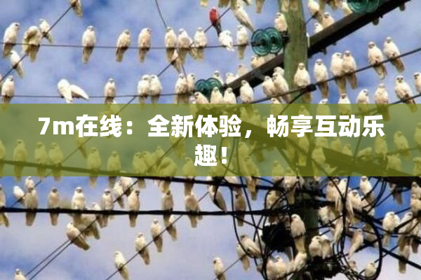 7m在线：全新体验，畅享互动乐趣！