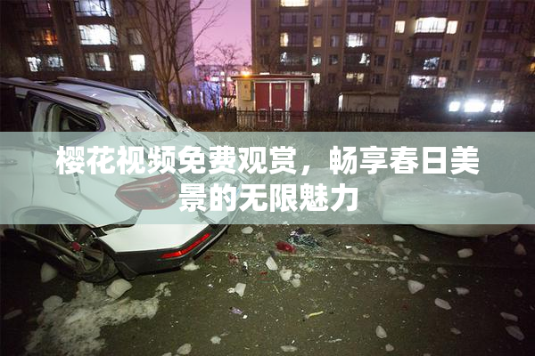 樱花视频免费观赏，畅享春日美景的无限魅力