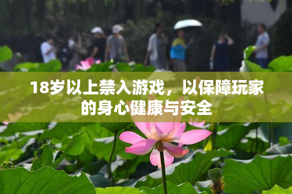18岁以上禁入游戏，以保障玩家的身心健康与安全