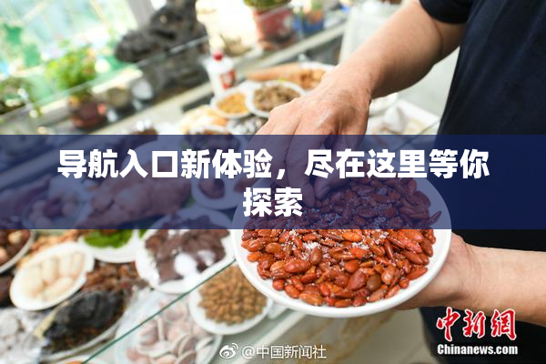 导航入口新体验，尽在这里等你探索