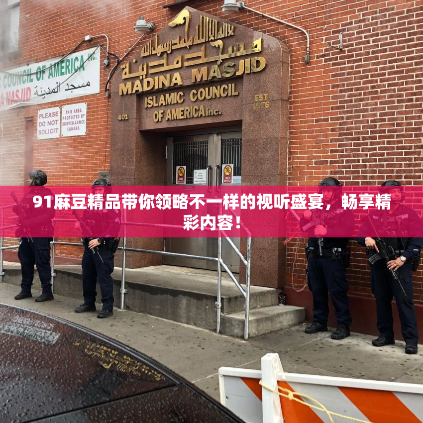 91麻豆精品带你领略不一样的视听盛宴，畅享精彩内容！