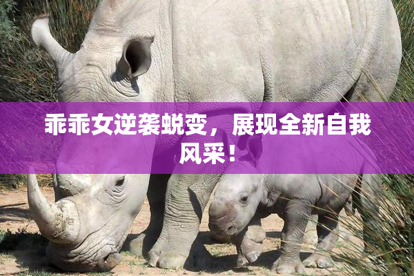 乖乖女逆袭蜕变，展现全新自我风采！