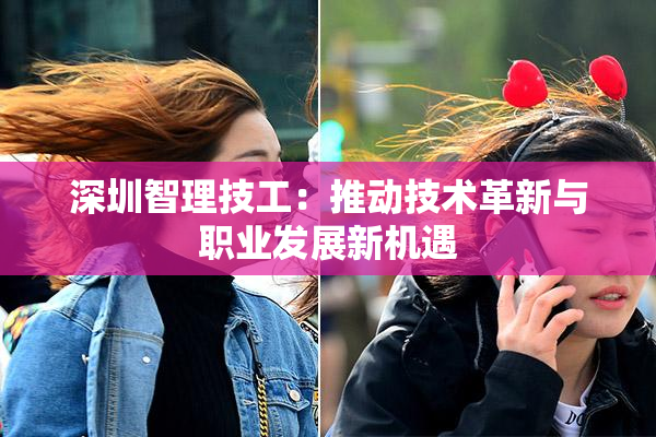 深圳智理技工：推动技术革新与职业发展新机遇