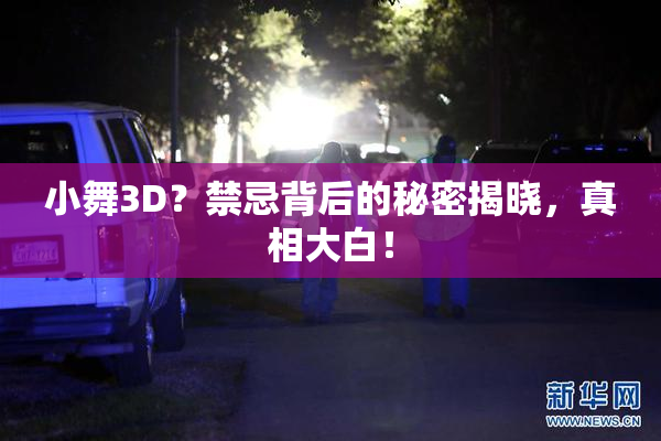 小舞3D？禁忌背后的秘密揭晓，真相大白！