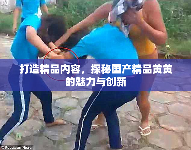 打造精品内容，探秘国产精品黄黄的魅力与创新