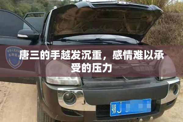 唐三的手越发沉重，感情难以承受的压力