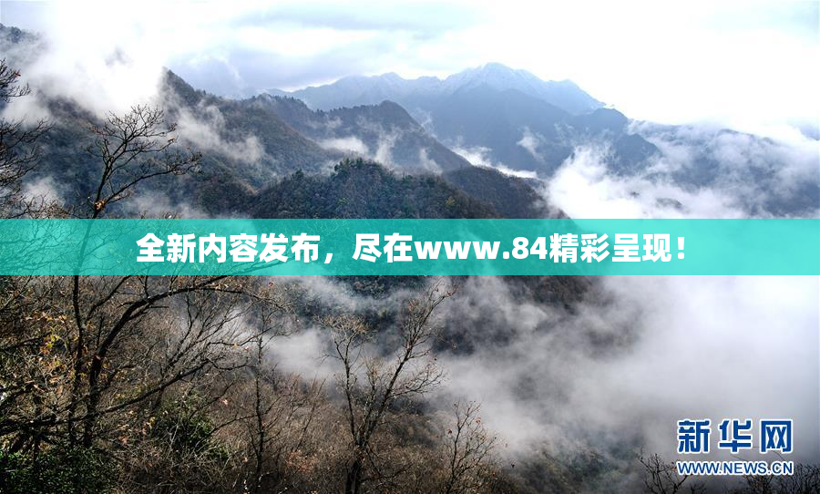 全新内容发布，尽在www.84精彩呈现！