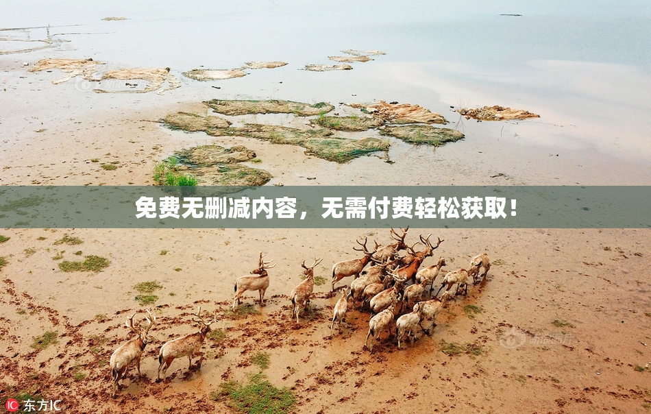 免费无删减内容，无需付费轻松获取！