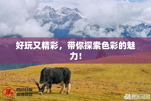 好玩又精彩，带你探索色彩的魅力！