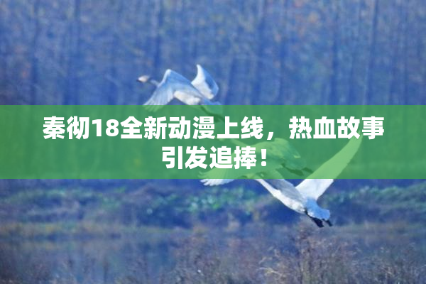秦彻18全新动漫上线，热血故事引发追捧！