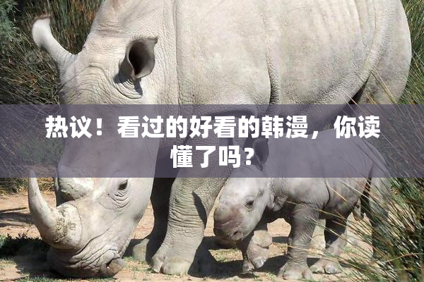 热议！看过的好看的韩漫，你读懂了吗？