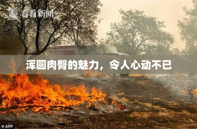浑圆肉臀的魅力，令人心动不已