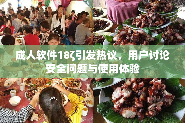 成人软件18ζ引发热议，用户讨论安全问题与使用体验