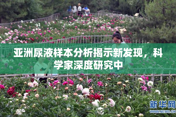 亚洲尿液样本分析揭示新发现，科学家深度研究中