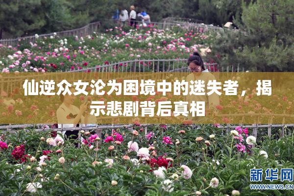 仙逆众女沦为困境中的迷失者，揭示悲剧背后真相