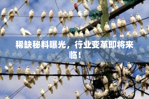 稀缺秘料曝光，行业变革即将来临！