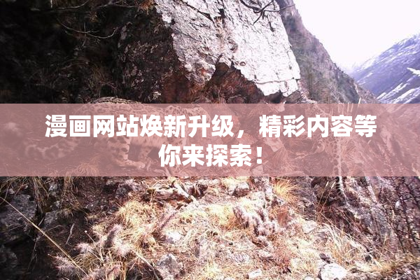 漫画网站焕新升级，精彩内容等你来探索！