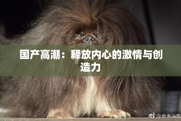 国产高潮：释放内心的激情与创造力