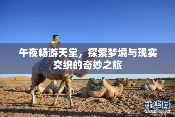 午夜畅游天堂，探索梦境与现实交织的奇妙之旅