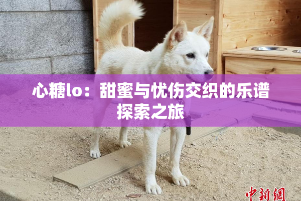 心糖lo：甜蜜与忧伤交织的乐谱探索之旅