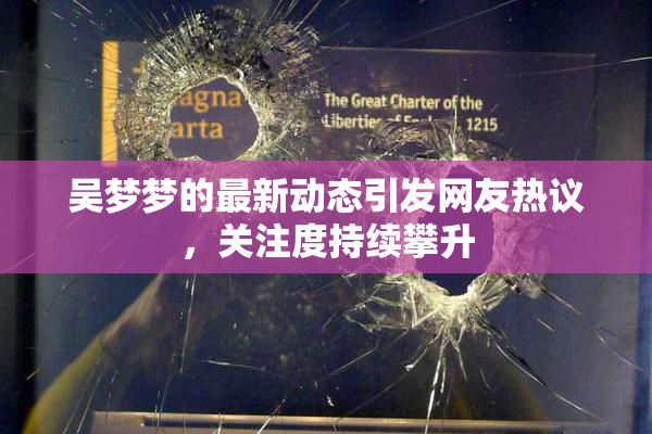 吴梦梦的最新动态引发网友热议，关注度持续攀升